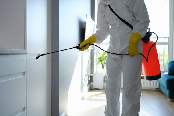 Mold Remediation for Vacation Homes in Buffalo Grove, IL